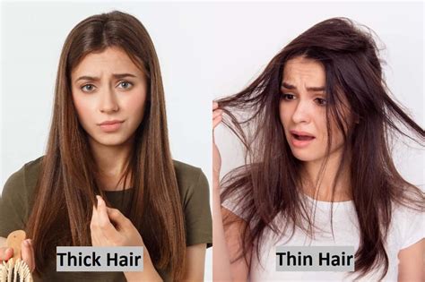 Thick hair vs thin hair. Things To Know About Thick hair vs thin hair. 